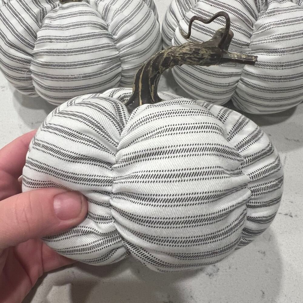 Pumpkin lot - Picture 2 of 3
